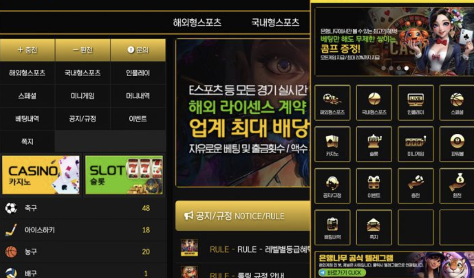 📉💔 8년 정 쌓았건만… 은행나무 먹튀에 내던져진 올드 유저의 비극 💔📉